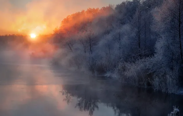 Картинка зима, деревья, туман, река, рассвет