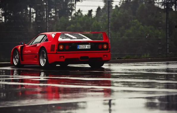 Red, F40, Rear view, Puddles