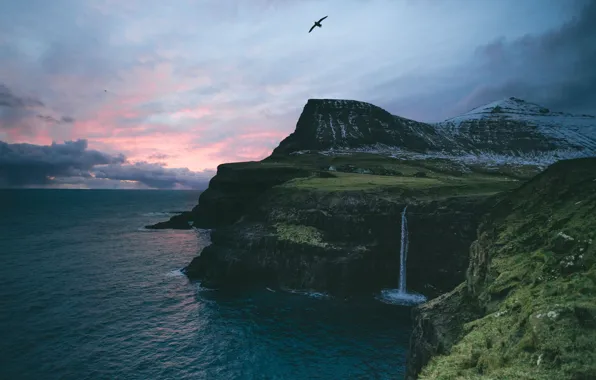 Море, горы, океан, скалы, птица, водопад, деревушка, Фарерские острова