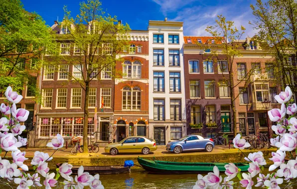 Картинка река, весна, лодки, Амстердам, цветение, blossom, Amsterdam, flowers