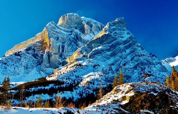 Снег, деревья, горы, природа, Канада, Альберта, Kananaskis Country