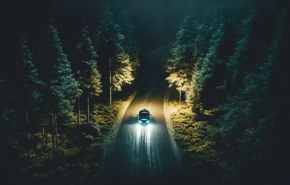 Car, forest, road, night, driving