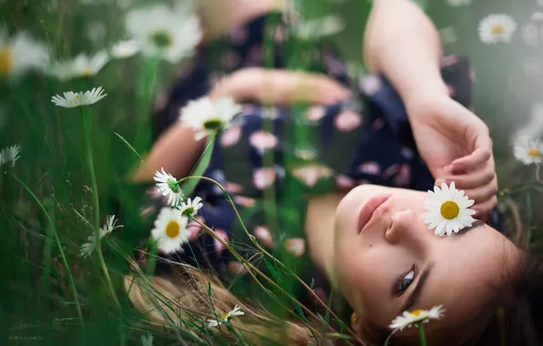 Картинка взгляд, девушка, цветы, лицо, настроение, ромашки, Денис Ланкин