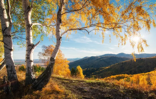 Картинка осень, солнце, деревья, горы, красота