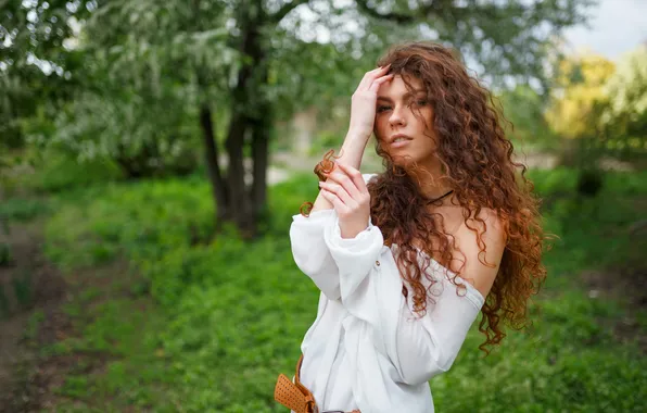 Девушка, модель, портрет, кудрявая