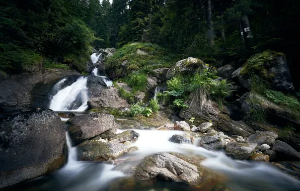 Лес, камни, водопад