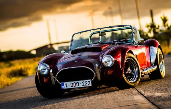 Car, red, ford, shelby, cobra