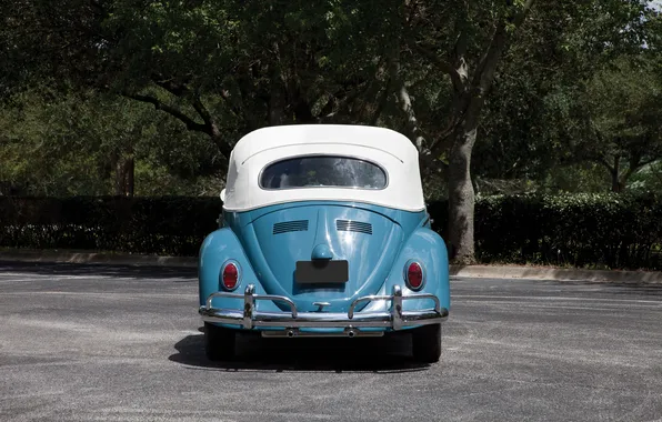 Volkswagen, Beetle, ретро автомобили, Cabriolet, 1963, retro cars, Volkswagen Beetle Cabriolet