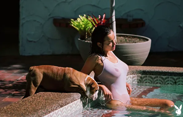 Dog, Play Boy, Pool, Nude, Wet, Big tits, Wet body, titis