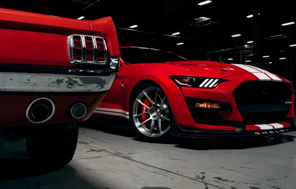 Mustang, Ford, Shelby, GT500, Shelby GT500, GT 500, FastBack, Shelby GT500 65 Fastback