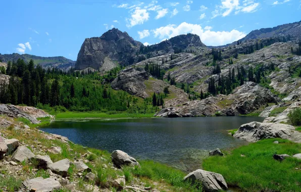 Картинка США, Миннесота, Minnesota, Lake Lillian, Big Cottonwood Canyon, Kandiyohi County