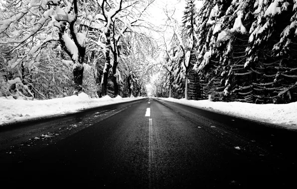 Road, trees, winter, snow