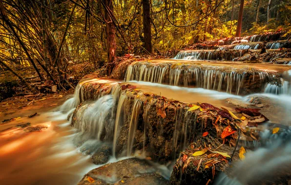 Осень, лес, ветки, природа, камни, скалы, листва, водопад