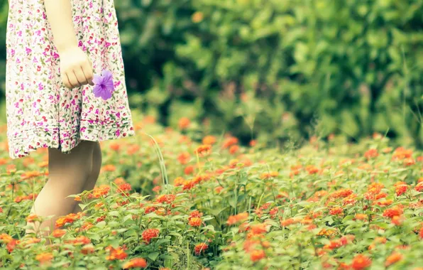Картинка поле, цветы, настроение, девочка