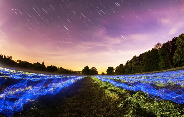 Поле, звезды, ночь, природа, field, nature, night, stars