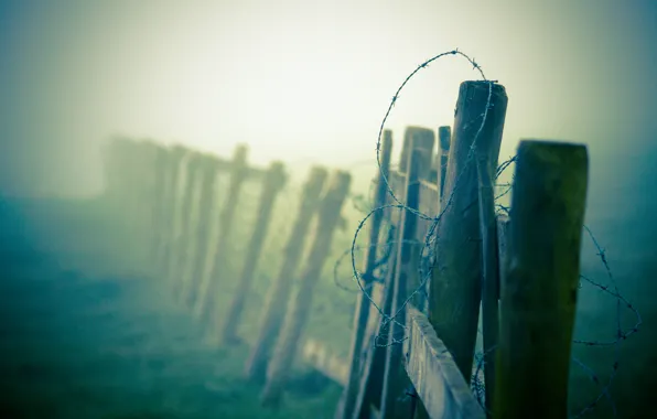 Картинка макро, туман, забор, дымка, колючая, проволка