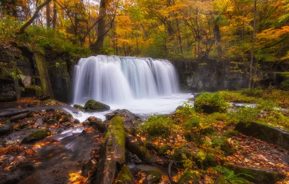 Картинка осень, лес, река, водопад