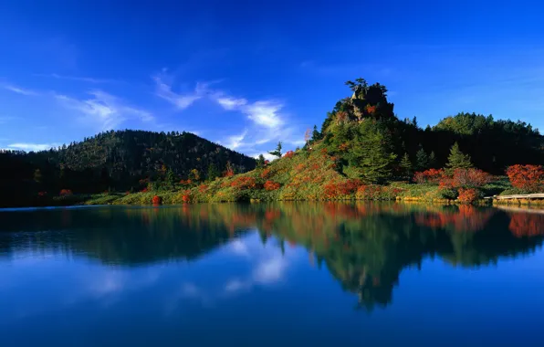 Лес, вода, озеро, отражение, япония