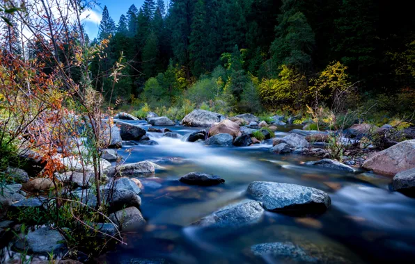 Осень, лес, пейзаж, природа, река, камни, Калифорния, США