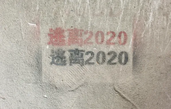 2020, GREY, ESCAPE