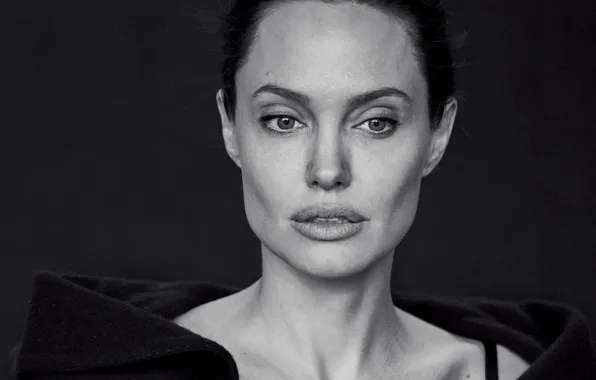 Картинка крупный план, фон, модель, портрет, актриса, Анджелина Джоли, Angelina Jolie, фотограф