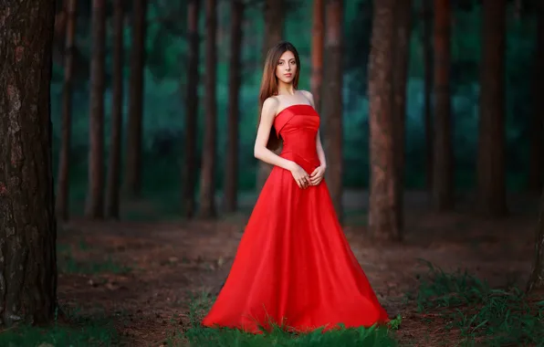 Картинка лес, взгляд, фигура, в красном, Lady in Red