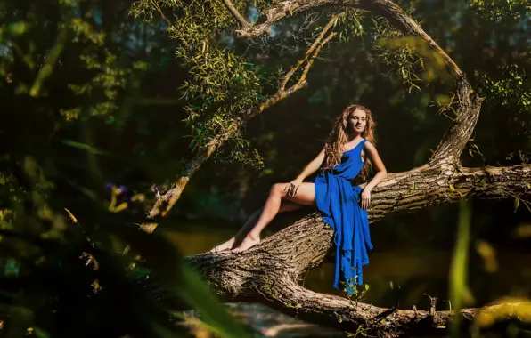 Картинка лето, девушка, солнце, дерево, платье, в синем