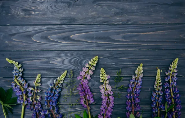 Цветы, фон, wood, flowers, purple, люпины, lupine