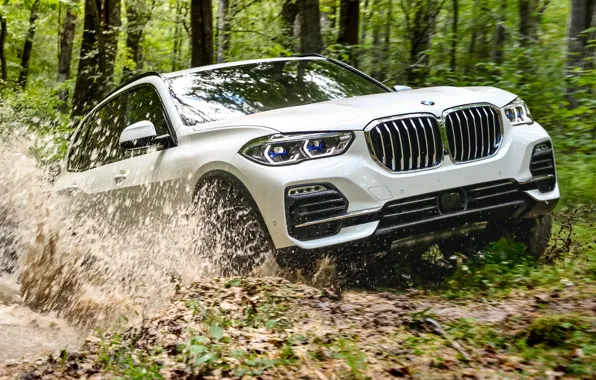 Бездорожье, 2018, BMW X5, кроссовер, XDrive40i