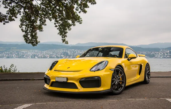 Картинка Porsche, Cayman, Yellow, GT4