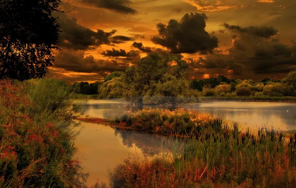 Картинка трава, деревья, закат, тучи, озеро, Природа