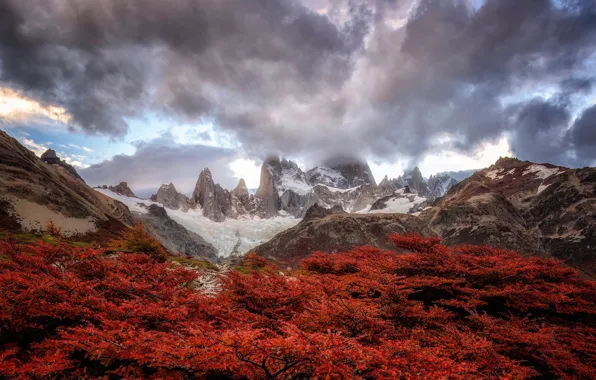 Осень, деревья, горы, весна, Анды, Южная Америка, облка