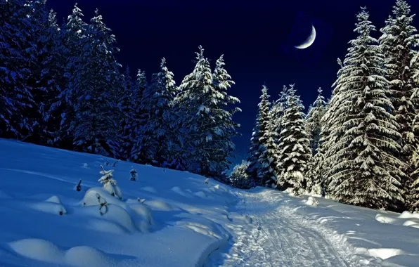 Картинка зима, лес, природа, вечер