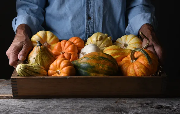 Hands, pride, vegetables, harvest, farmer