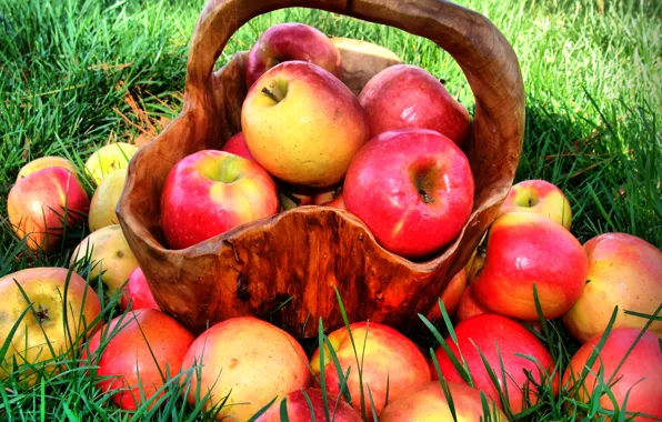 Картинка лето, трава, природа, корзина, яблоки, еда, красные, фрукты
