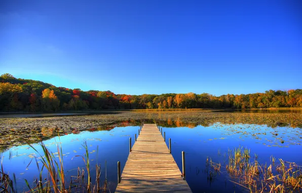 Картинка осень, лес, небо, деревья, озеро, пруд, мостик
