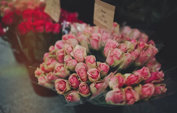 Розы, розовые, букеты