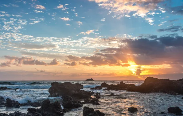 Пляж, закат, камни, Австралия, beach, sunset, rocks, Australia
