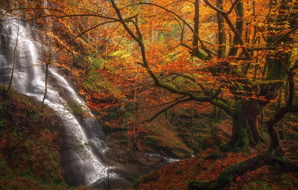 Картинка осень, лес, деревья, водопад, Испания, каскад, Spain, Бискайя