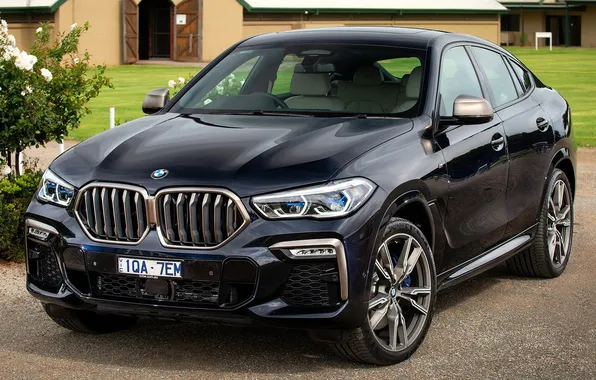 Дом, дерево, черный, BMW, БМВ, лужайка, площадка, BMW X6