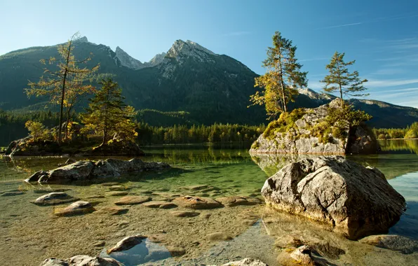 Картинка деревья, горы, река, камни, Германия, Альпы, Germany, Bavaria