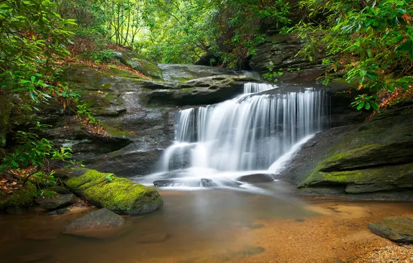Лес, природа, река, водопад
