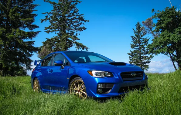 Картинка Subaru, WRX, Blue, STI