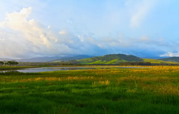 Картинка зелень, небо, трава, вода, облака, деревья, пейзаж, природа