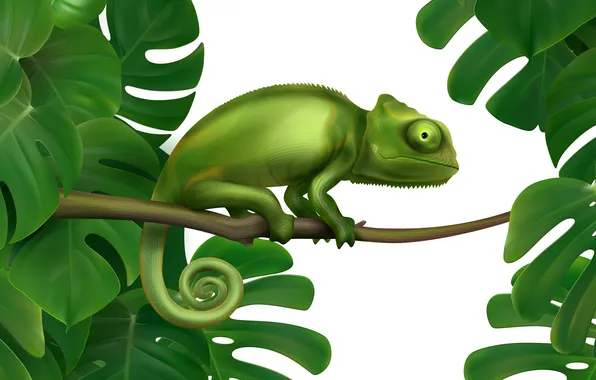 Green, leaves, chamelion