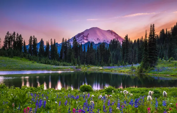 Картинка деревья, пейзаж, закат, цветы, горы, природа, озеро, США