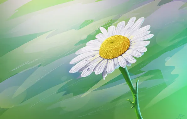 Картинка цветок, роса, ромашка, арт, капелька, Juri Mukhanov, Сhamomile