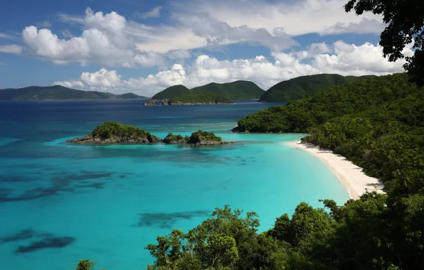 Картинка берег, вода, море, лето