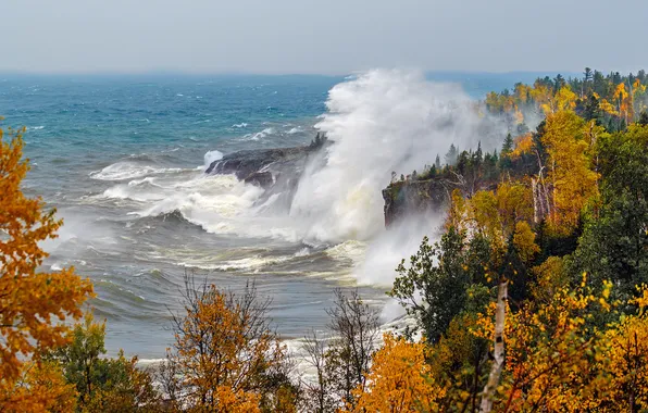 Море, волны, осень, лес, шторм, скалы