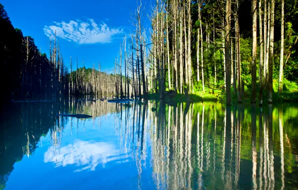 Картинка небо, деревья, горы, озеро, отражение